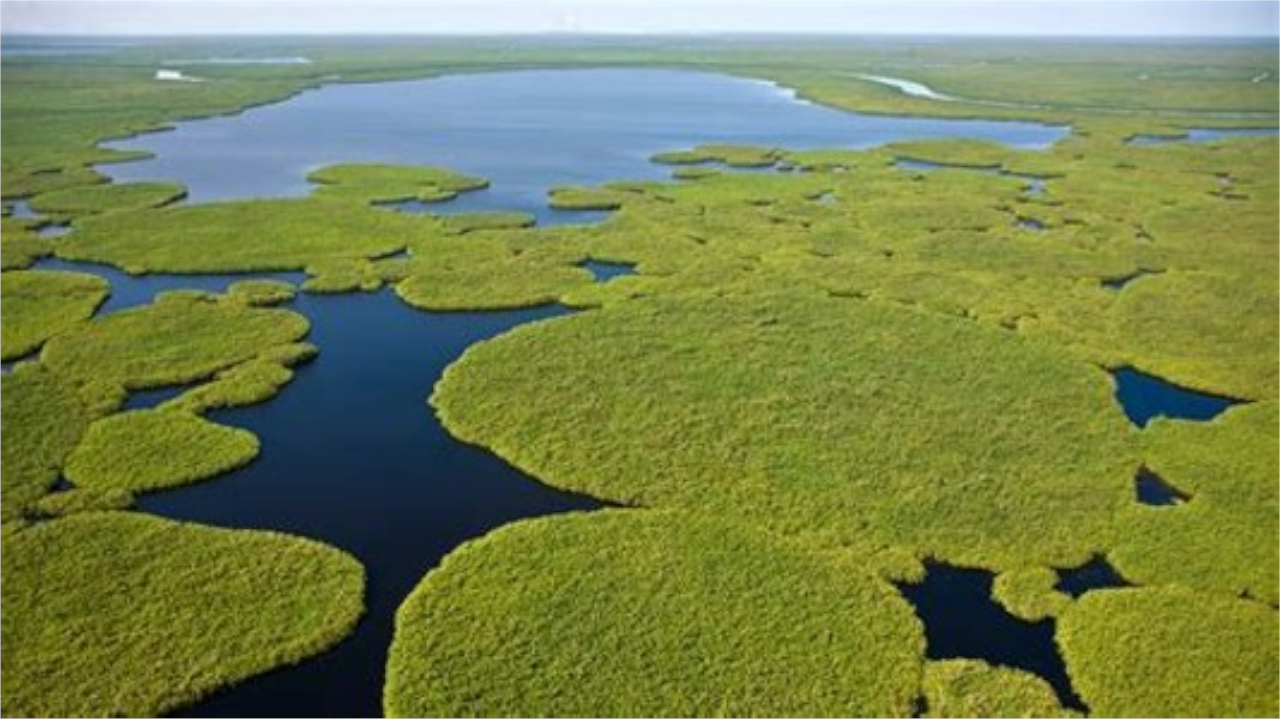 Current and Future Emissions of African Wetland Methane